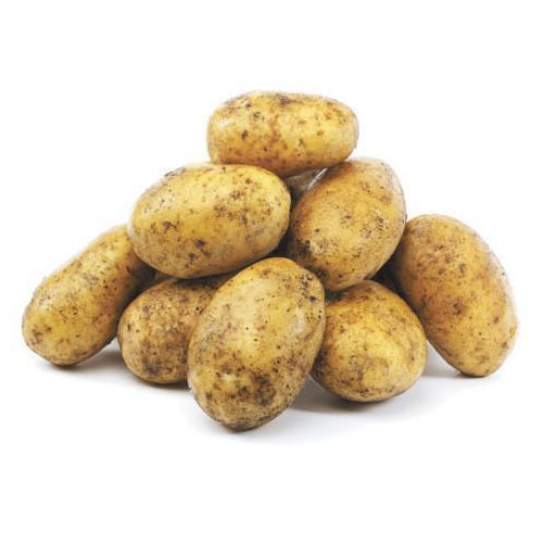 Fresh Organic Potato